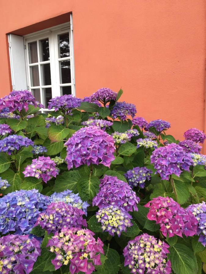Hotel La Belle Etoile Thouaré-sur-Loire Exteriér fotografie